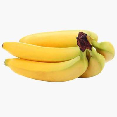 Colorful Banana